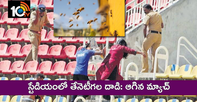 Bee attack in Kerala Cricket Stadium, India A Match delayed to 15 minutes, Video goes viral