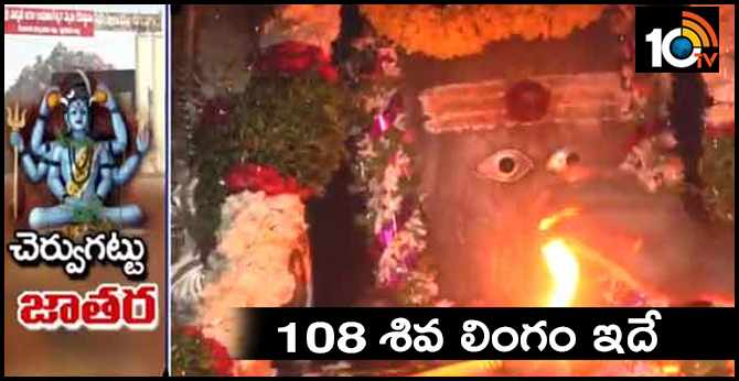 Cheruvugattu Jatara In Nalgonda