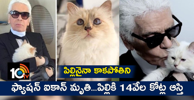 Karl Lagerfeld's cat the world's most pampered pet
