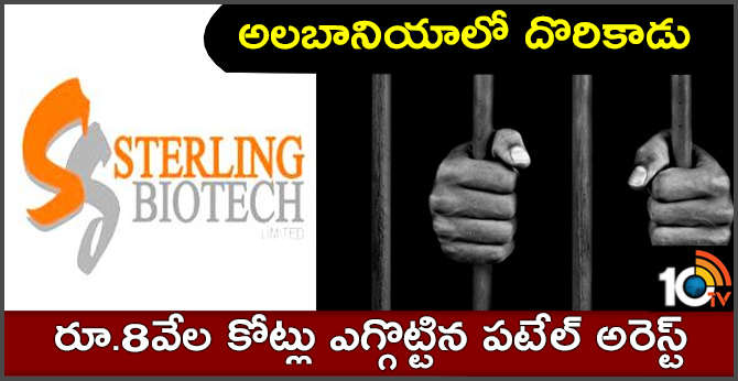 Rs 8100 cr bank fraud: Accused Hitesh Patel detained in Albania