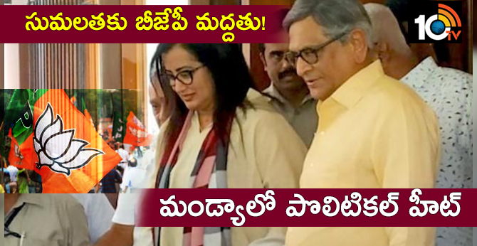 will bjp back sumalatha in mandya?when she decides we will decide: says sm krishna
