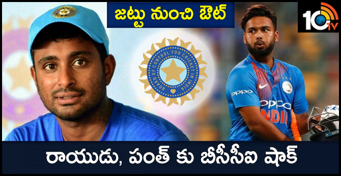 Pant and Rayudu out of India's World Cup squad