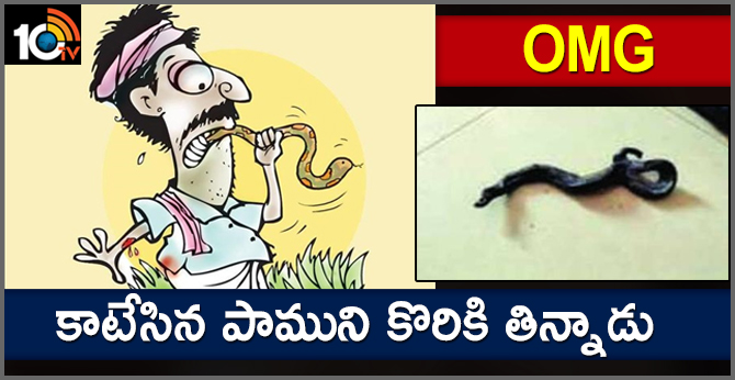 Vadodara man bites snake after it bit him