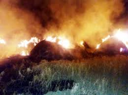 8 acres of crop burned in nirmal district