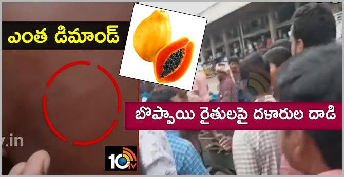 Mediums attacks on Papaya fruits formers