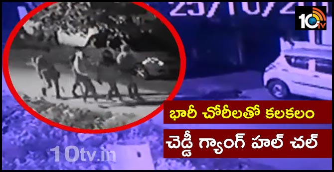 Cheddi Gang Hulchul
