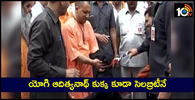Yogi Adityanath's pet dog is now an internet celebrity