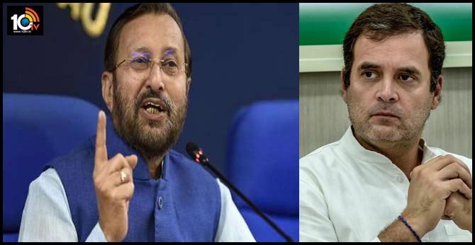 "If There Was Category Of Liar Of The Year...": BJP Attacks Rahul Gandhi