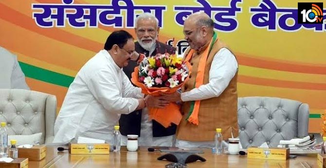 New BJP Chief JP Nadda