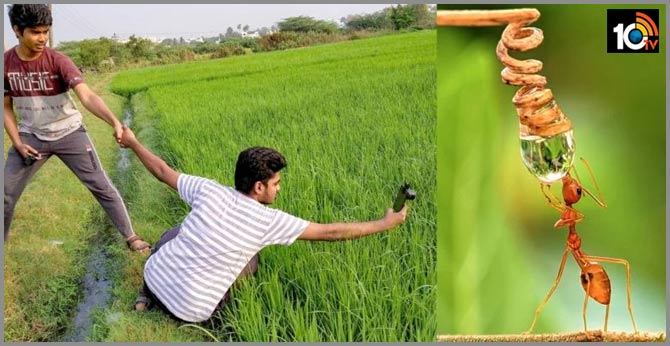 indian photographer Shashi kumar shoots stunning macro photos using his phone
