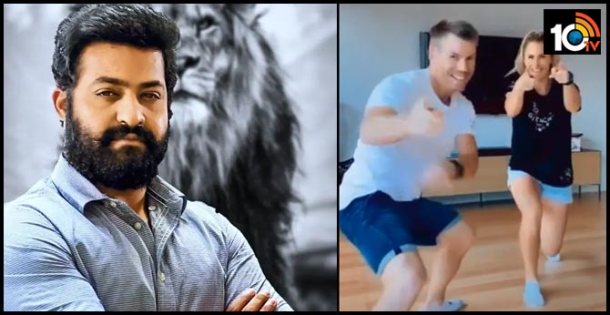 ఎన్టీఆర్ ఫ్యాన్స్కి వార్నర్ బర్త్ డే గిఫ్ట్