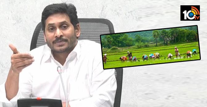 ap cm ys jagan releases rs. 596 crore 2018-19 pending rabi crop insurance