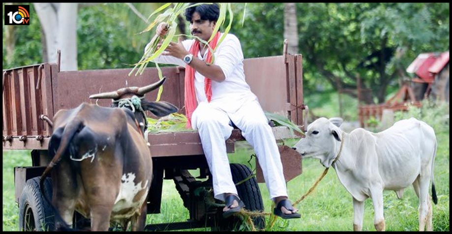 rgv-publicity-stunt-on-power-star-movie-trailer