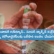 Scientists Invent New Vaccine That Can Fight All Forms, Mutations And Strains Of Coronaviruses (1)