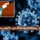 Corona Virus