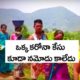 Vizayanagaram