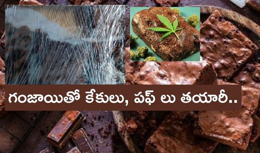 10TV Telugu News