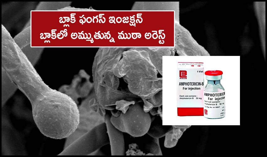 10TV Telugu News