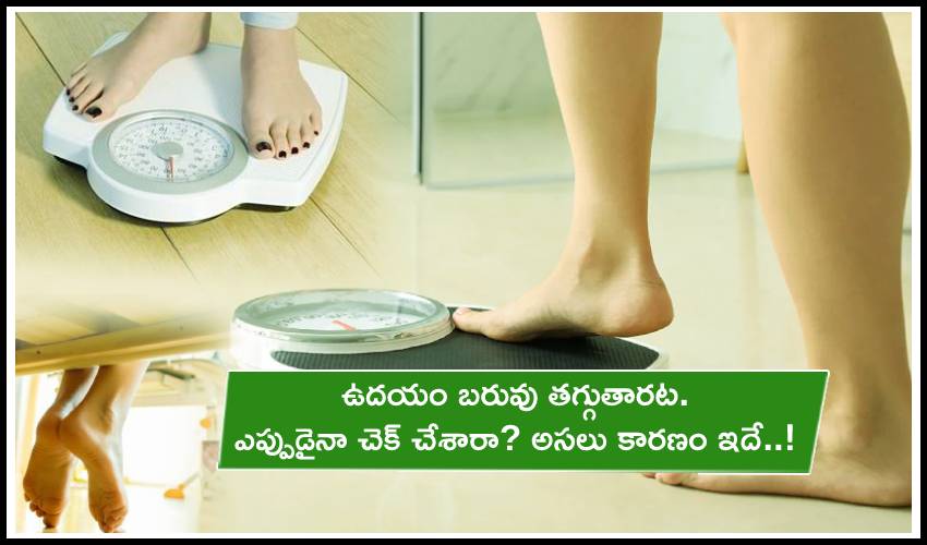 10TV Telugu News